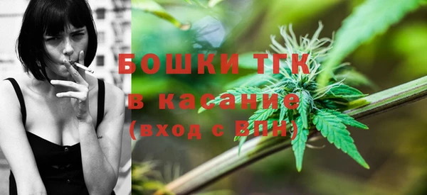 шишки Армянск