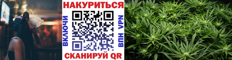 где купить наркотик  Печоры  Канабис сатива 